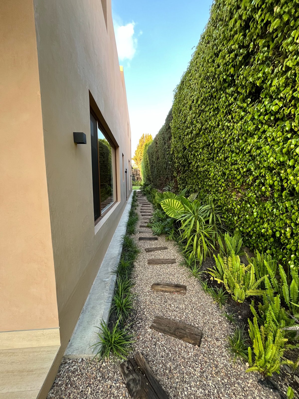 Narrow garden pathway between a cream-colored house wall and tall green hedges, with stepping stones and tropical plants